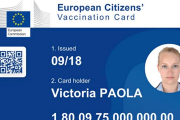 cardul european de vaccinare 9c456e1fc3